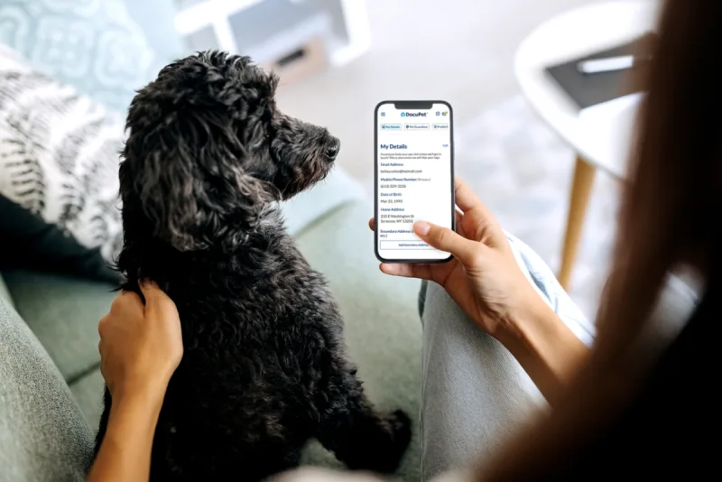 Owner with her dog, holding a phone open to her DocuPet profile contact details