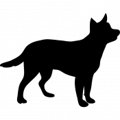 Sheriff, a Tan Chihuahua Dog